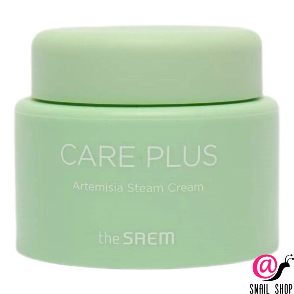 THE SAEM Увлажняющий паровой крем с полынью и маслом ши Care Plus Artemisia Steam Cream