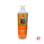 DEOPROCE Шампунь с гиалуроновой кислотой и лошадиным жиром HORSE OIL HYALURONE SHAMPOO