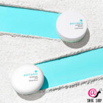HOLIKA HOLIKA Компактная пудра для лица, матирующая Puri Pore No Sebum Pact