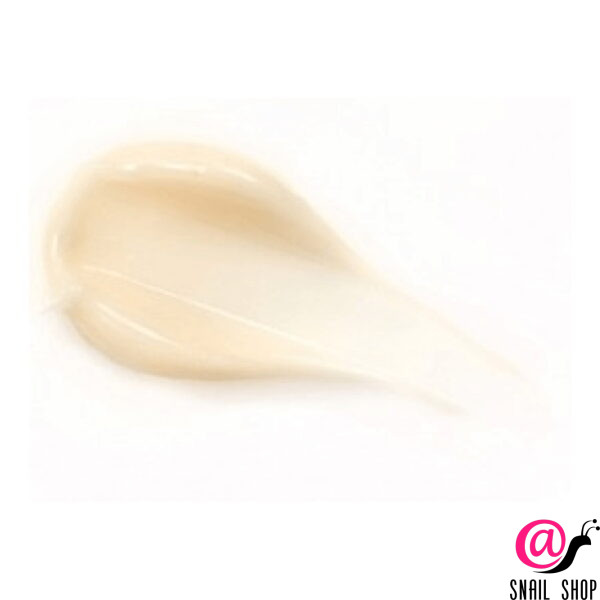JennyHouse Увлажняющий крем для упругости кожи с чёрным трюфелем Truffle Water Ceramide Cream
