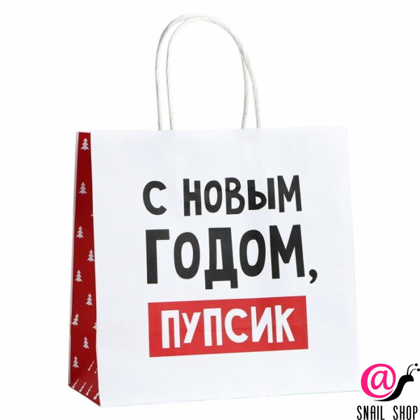 Пакет подарочный новогодний «С Новым годом, пупсик», 22 х 22 х 11 см