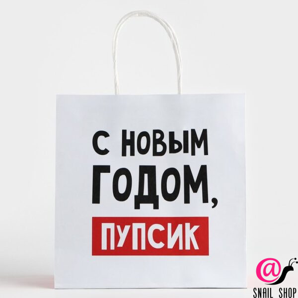 Пакет подарочный новогодний «С Новым годом, пупсик», 22 х 22 х 11 см