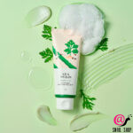 ROUND LAB Успокаивающая пенка для умывания с экстрактом полыни Mugwort Calming Cleanser