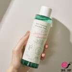 AXIS-Y Тоник для проблемной кожи с центеллой и BHA-кислотой Daily Purifying Treatment Toner