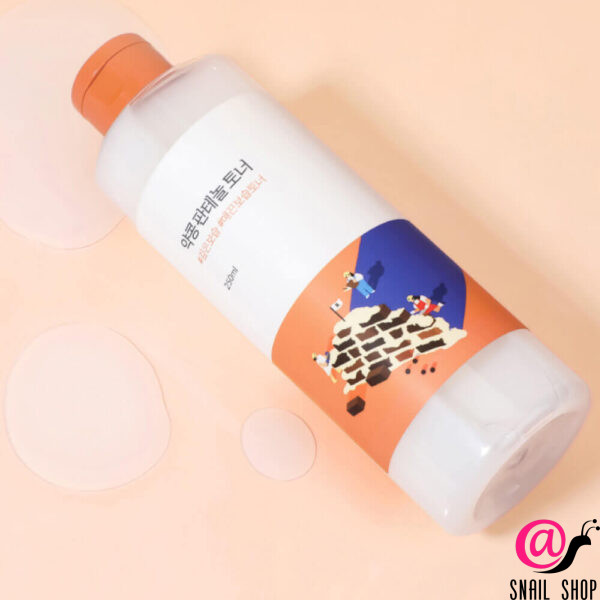 ROUND LAB Тонер с чёрной соей и пантенолом Soybean Panthenol Toner