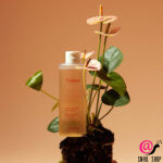 FRAIJOUR Антивозрастной тонер для лица КРАСНЫЙ ЖЕНЬШЕНЬ Alchemic Ginsenoside Herbal Rx Toner