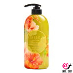 hibiscus-gibiskus