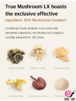 THE SAEM Крем для лица с грибным комплексом True Mushroom LX Calming Effect Cream