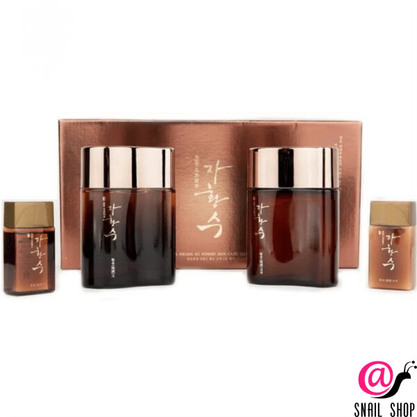 Ja Hwang Su Антивозрастной набор для мужчин со стволовыми клетками Homme Mens Skin Care 2 Set