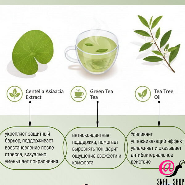 SKIN627 Сыворотка для лица с центеллой и зеленым чаем CICA With Green Tea Calming Facial Serum