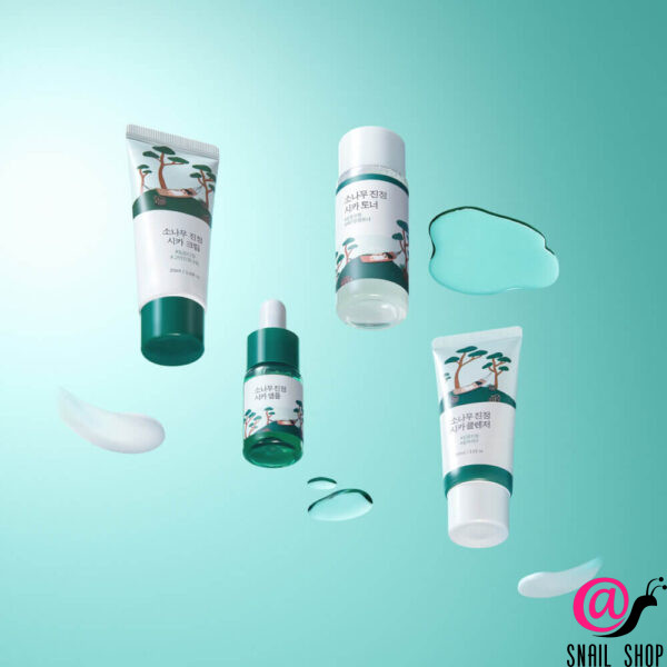 ROUND LAB Travel-набор уходовых средств с экстрактом сосны и центеллы Pine Calming Cica Trial Kit