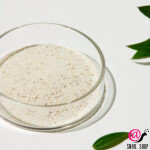 SUNGBOON Пудра энзимная для очищения пор Editor Green Tomato Deep Pore Clean Enzyme Powder Wash