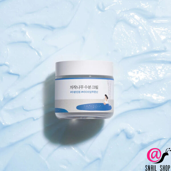 ROUND LAB Увлажняющий крем для лица с березовым соком Birch Juice Moisturizing Cream (ЧЗ)