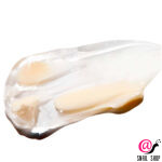 VT Cosmetics Крем с рисовыми капсулами для сияния и увлажнения кожи Rice Capsule Cream